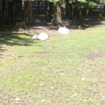 phoca_thumb_m_vp 2.den 22 Fotogalerie